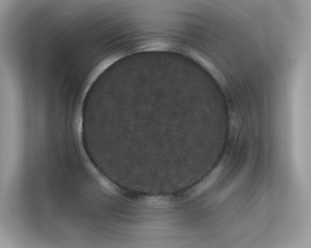 X0000112851418200908211251