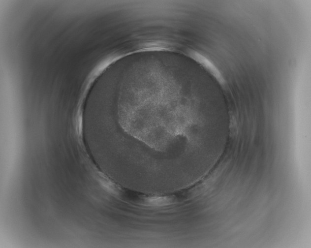 X0000112851419200908211251