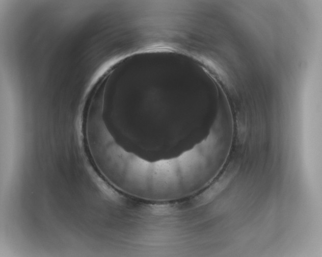 X0000112851422200908211251