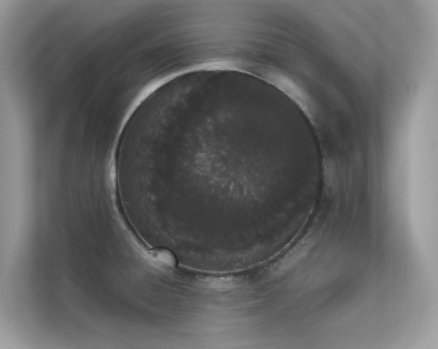 X0000112851428200908211251