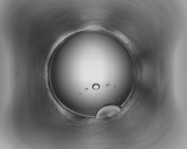 X0000112851430200908211251