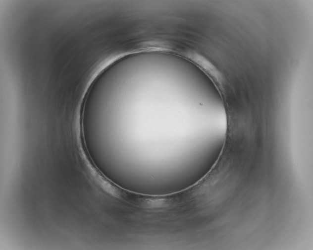 X0000112851431200908211251