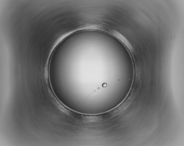 X0000112851436200908211251