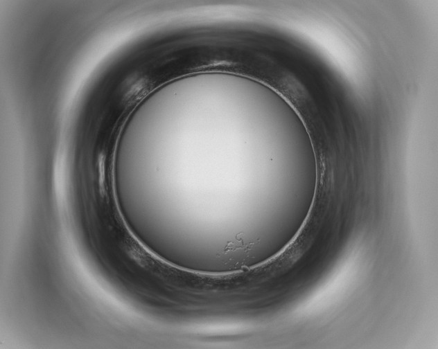 X0000112851439200908211251