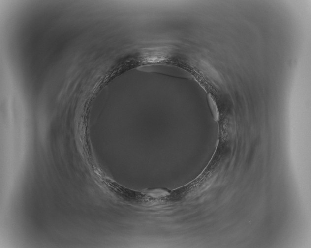 X0000112851441200908211251