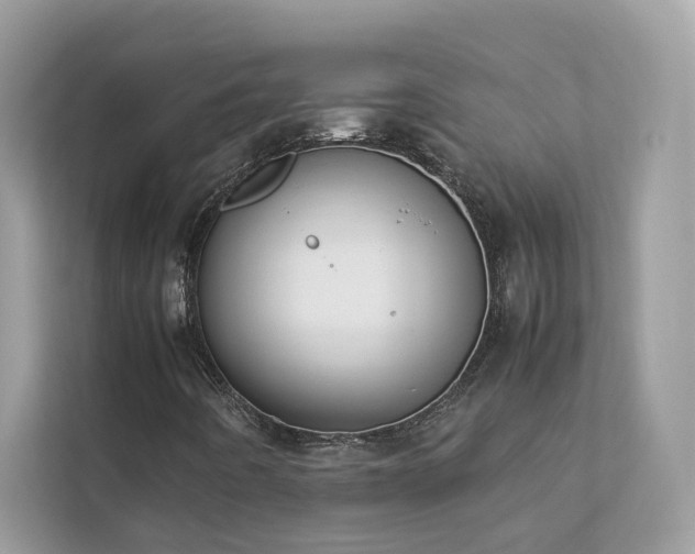 X0000112851442200908211251