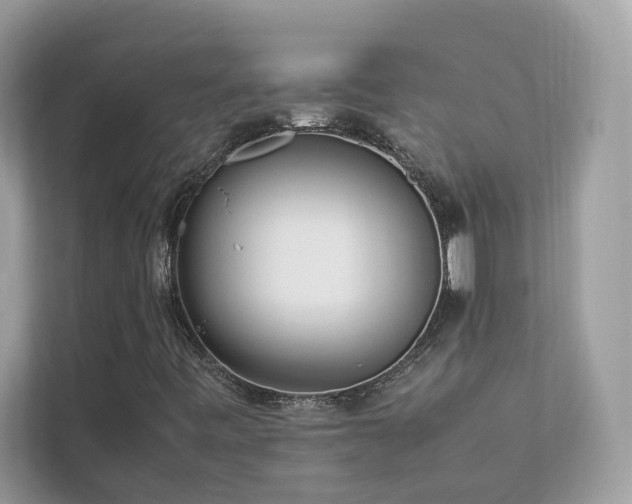 X0000112851443200908211251