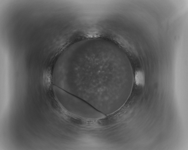 X0000112851444200908211251