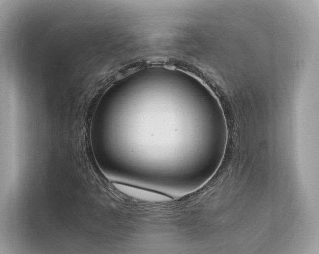 X0000112851445200908211251