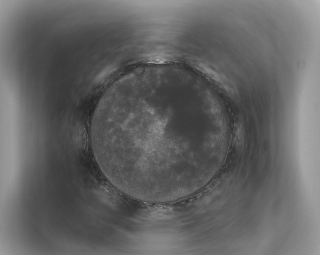 X0000112851446200908211251