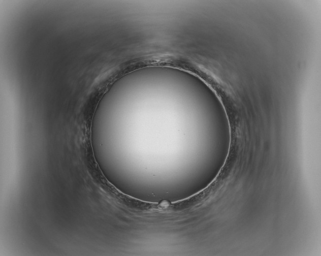 X0000112851447200908211251