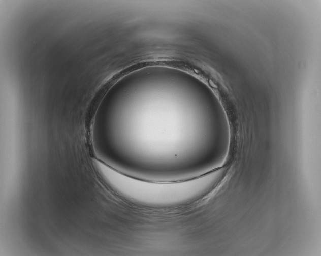 X0000112851449200908211251