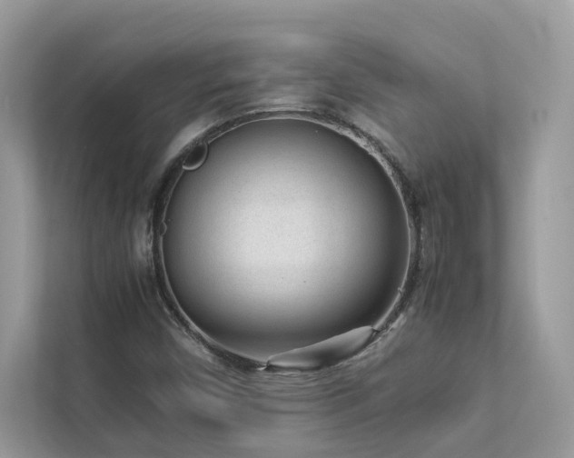 X0000112851450200908211251