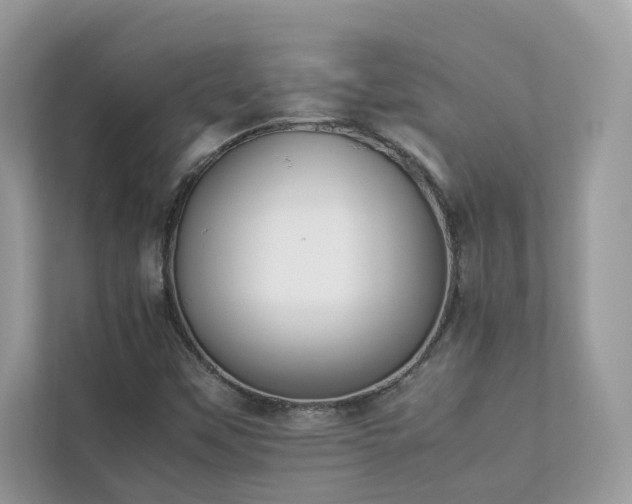 X0000112851451200908211251