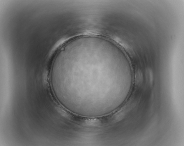 X0000112851454200908211251