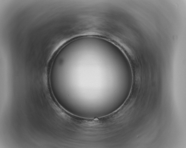 X0000112851460200908211251