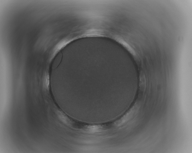 X0000112851461200908211251