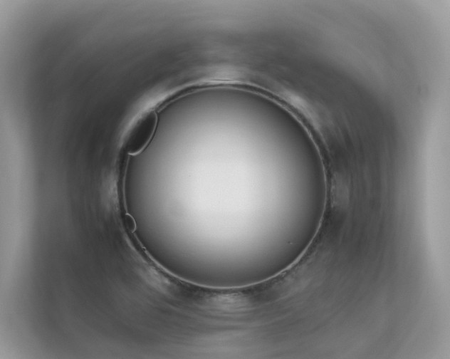 X0000112851464200908211251