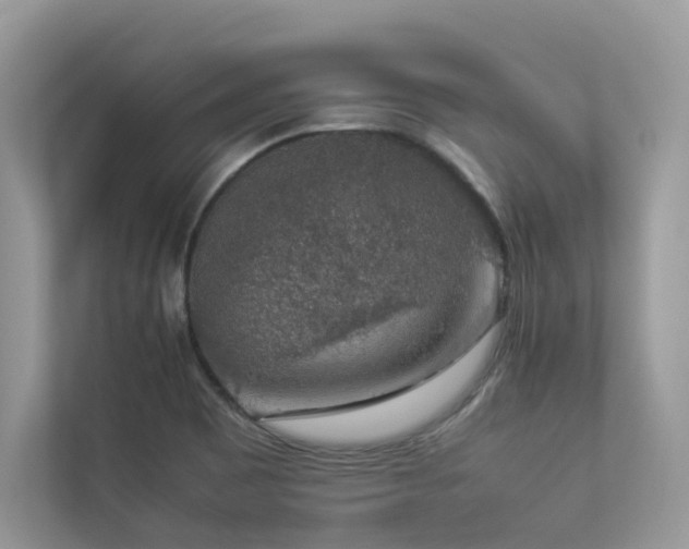 X0000112851465200908211251