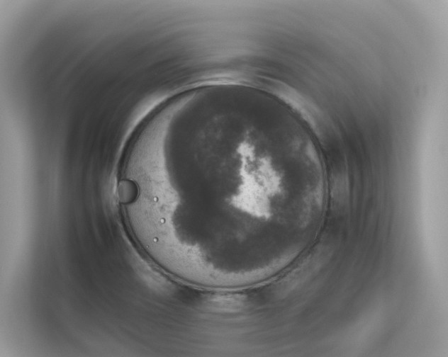 X0000112851466200908211250