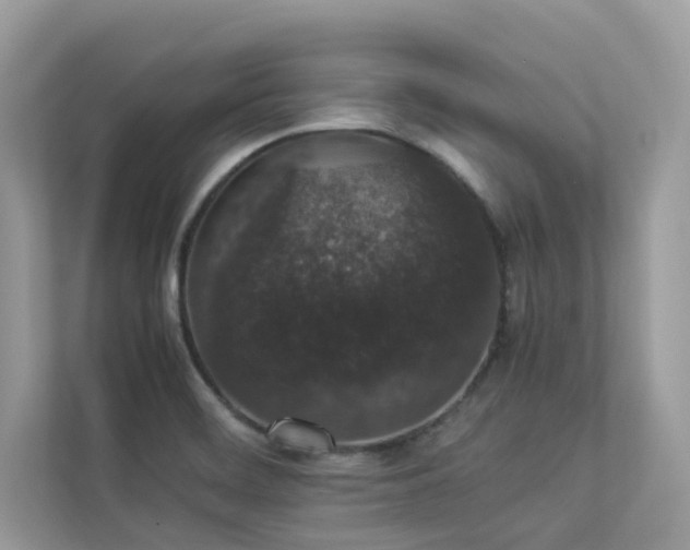 X0000112851468200908211250