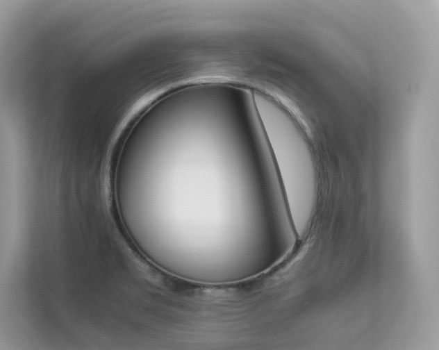 X0000112851469200908211250