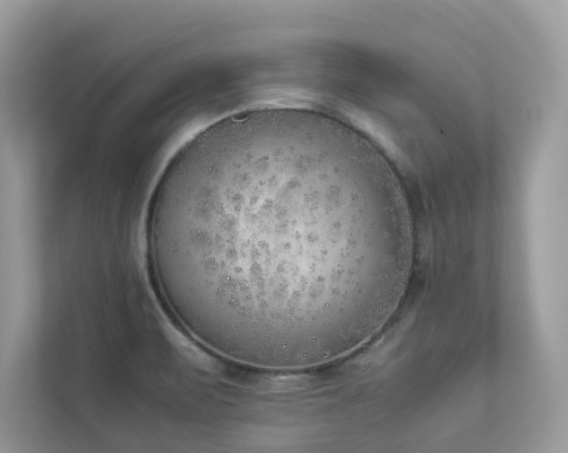 X0000112851471200908211250