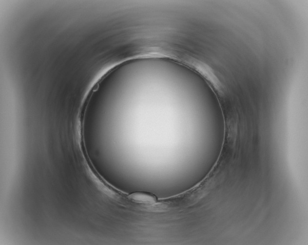 X0000112851476200908211250