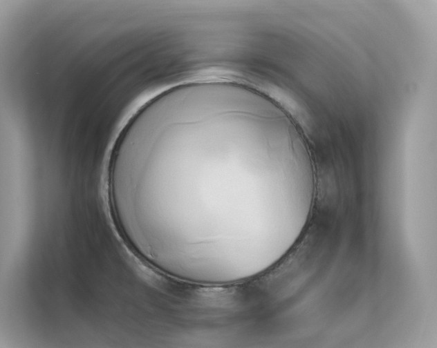 X0000112851478200908211250