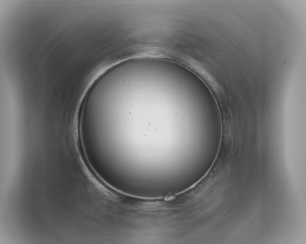 X0000112851479200908211250