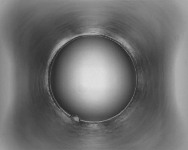 X0000112851480200908211250