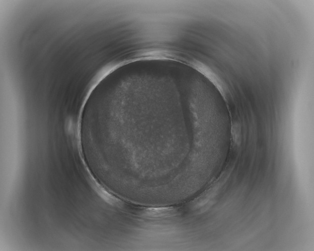 X0000112851482200908211250