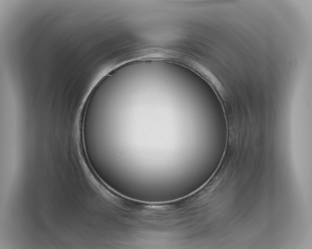 X0000112851483200908211250