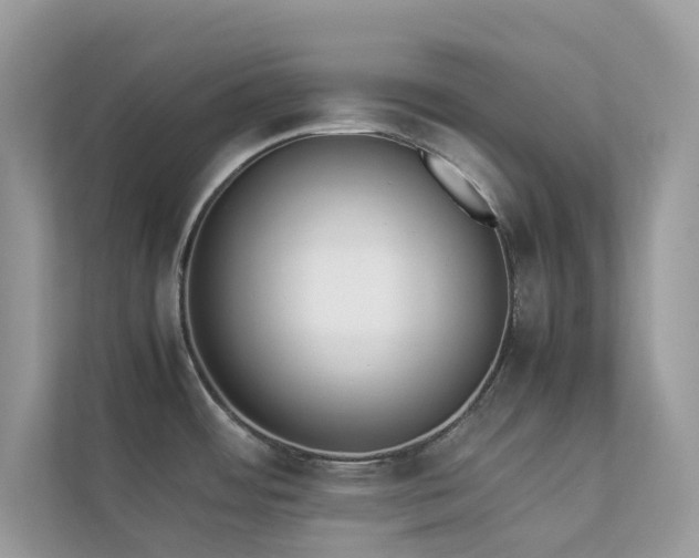 X0000112851484200908211250
