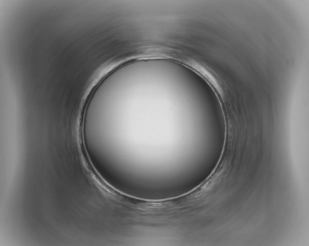 X0000112851485200908211250