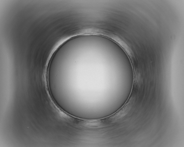 X0000112851486200908211250