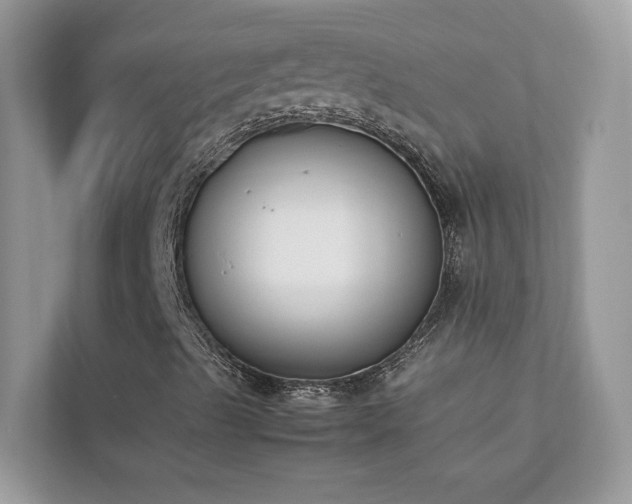 X0000112851489200908211250