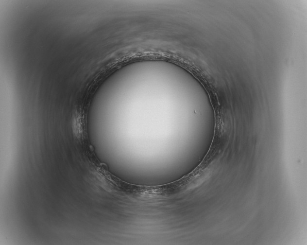 X0000112851490200908211250