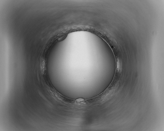 X0000112851492200908211250