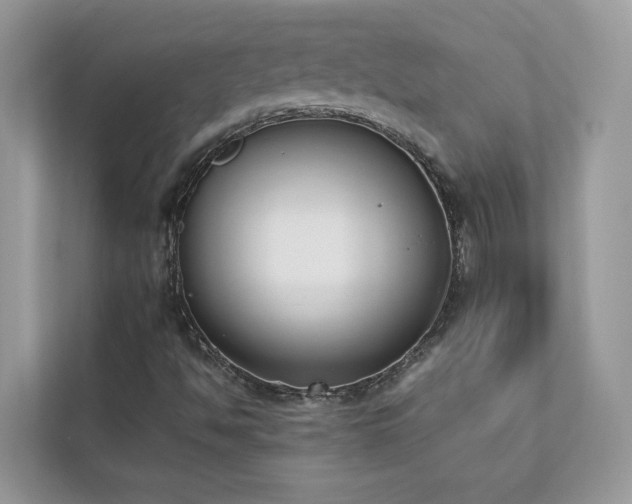 X0000112851494200908211250
