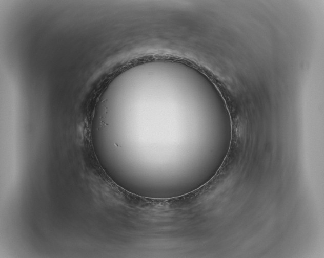 X0000112851495200908211250