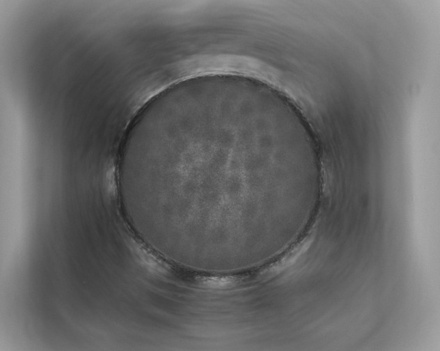 X0000112851497200908211250