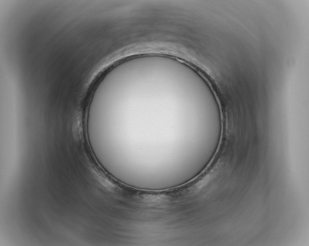 X0000112851498200908211250
