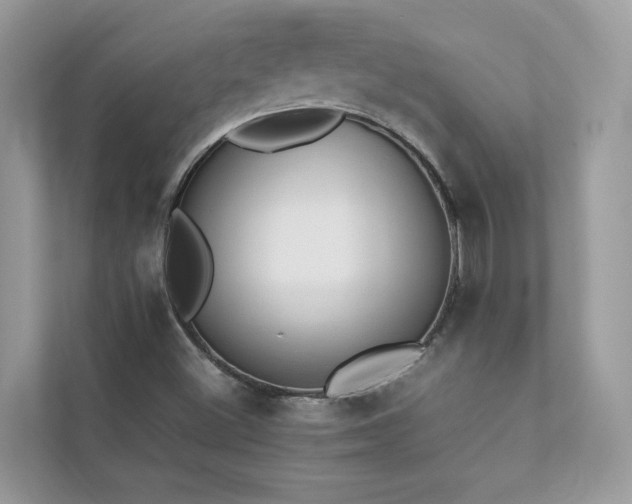 X0000112851500200908211250