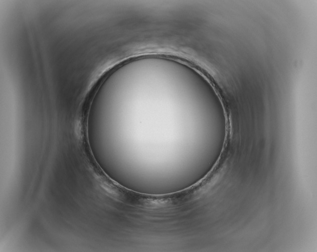 X0000112851501200908211250