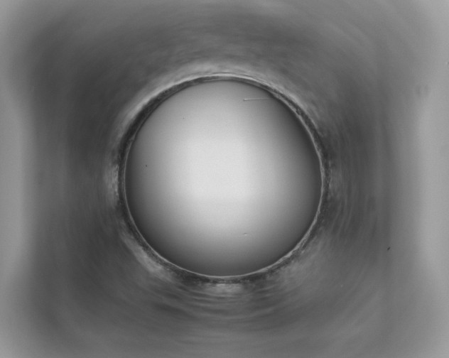 X0000112851503200908211250