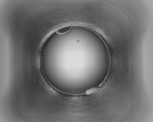 X0000112851504200908211250