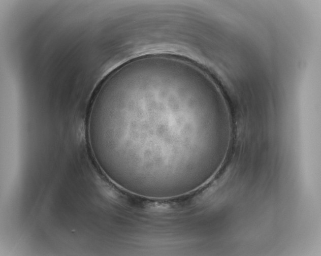 X0000112851505200908211250