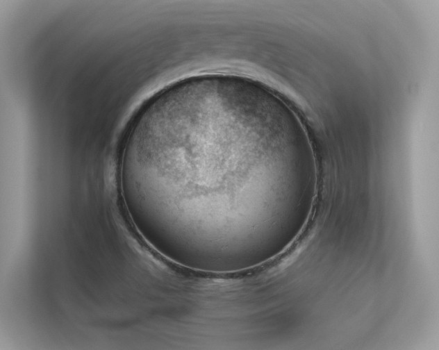 X0000112851506200908211250