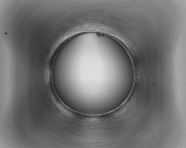 X0000112851507200908211250